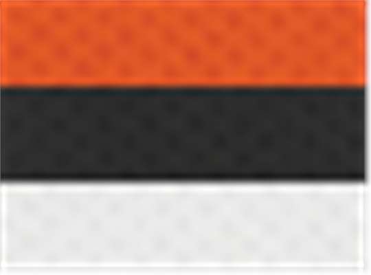 Swatch for Orange/ Black/ White