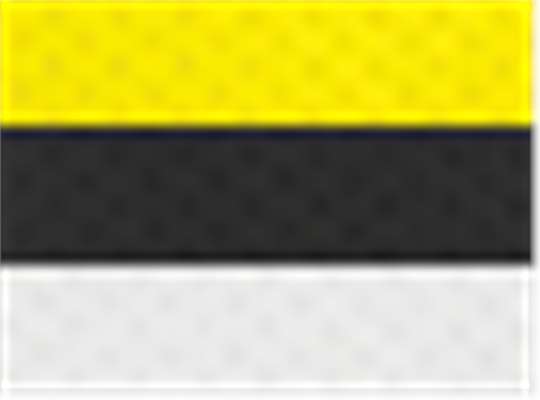 Swatch for Power Yellow/ Black/ White
