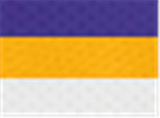 Swatch for Purple/ Gold/ White