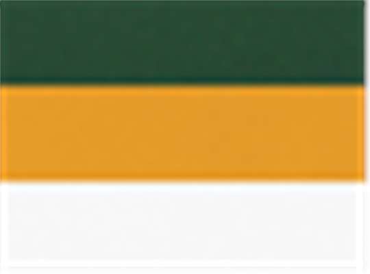 Swatch for Dark Green/ Gold/ White