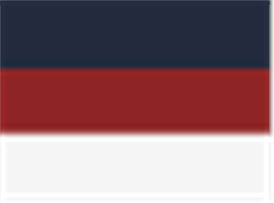 Swatch for Navy/ True Red/ White