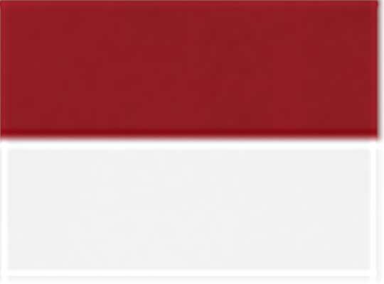 Swatch for True Red/ White