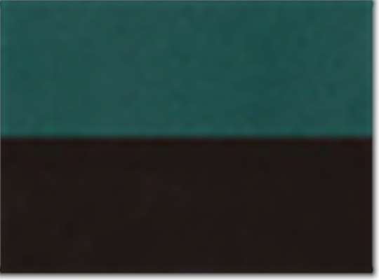 Swatch for Dark Green/ Black