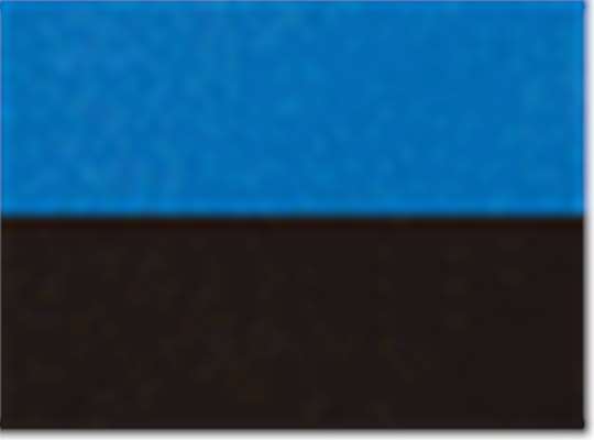 Swatch for Royal/ Black