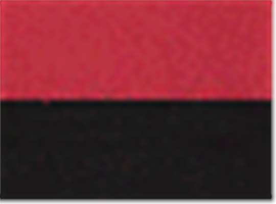 Swatch for True Red/ Black