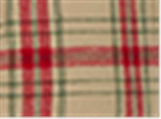 Swatch for Reindeer Plaid
