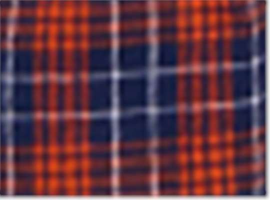 Swatch for Navy/ Orange Plaid