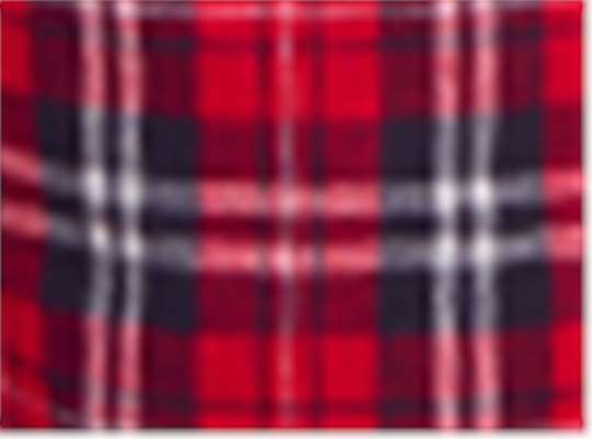 Swatch for Navy/ Red Plaid
