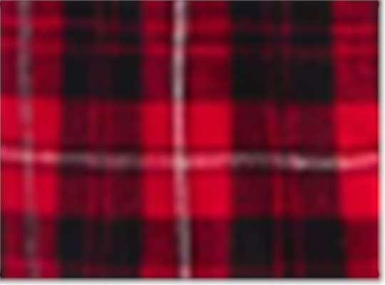 Swatch for Red/ Black Plaid