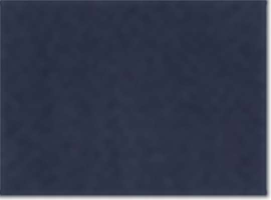 Swatch for Collegiate Navy