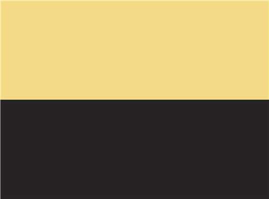 Swatch for Gold/ Black