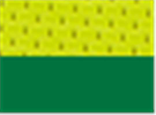 Swatch for Lime/ Green