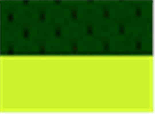 Swatch for Green/ Lime - B104