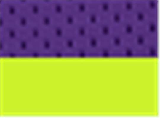 Swatch for Purple/ Lime - B109
