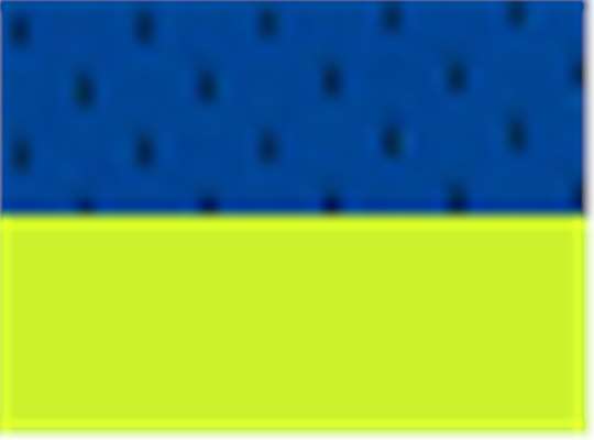 Swatch for Royal Blue/ Lime - B102