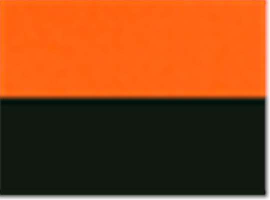 Swatch for Orange/ Black