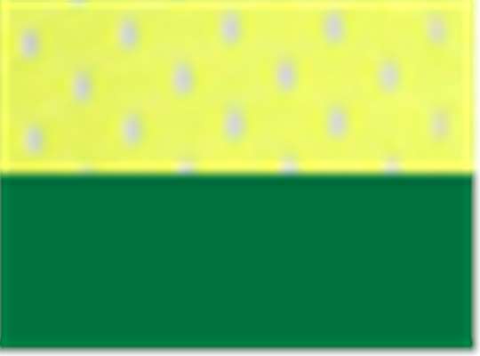 Swatch for Lime/ Green - S5044