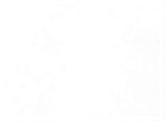 Swatch for 3711I White