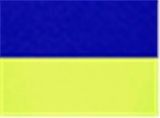 Swatch for Royal Blue/ Lime