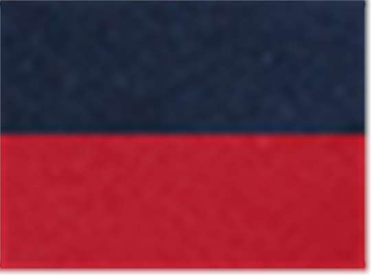 Swatch for Navy/ Red