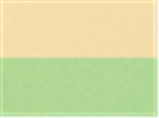 Swatch for Banana/ Key Lime