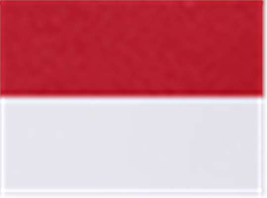 Swatch for Red/ White