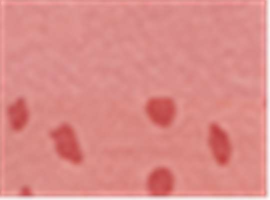 Swatch for Mauvelous/ Mauvelous Spot