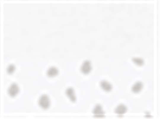 Swatch for White/ White Spot