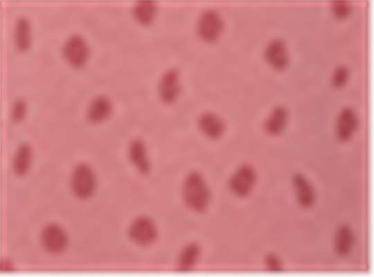 Swatch for Mauvelous Spot