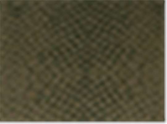 Swatch for Green Reptile