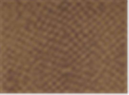 Swatch for Brown Reptile