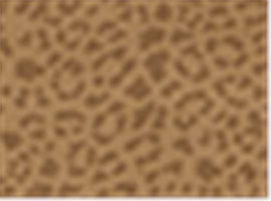 Swatch for Brown Leopard