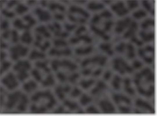 Swatch for Black Leopard