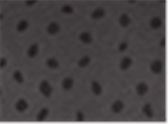 Swatch for Slate Spot
