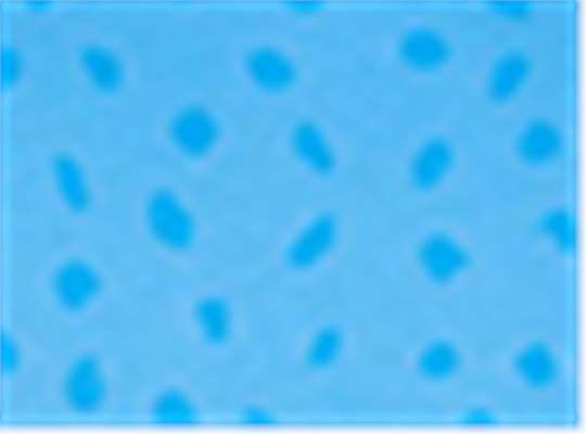 Swatch for Tradewind Spot