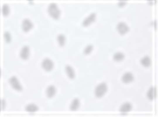 Swatch for White Spot