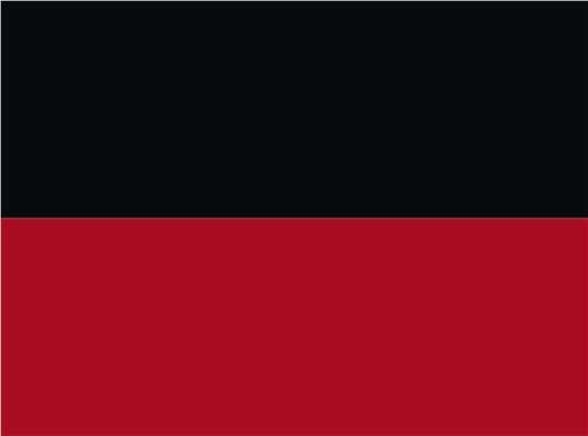 Swatch for Black/ Red
