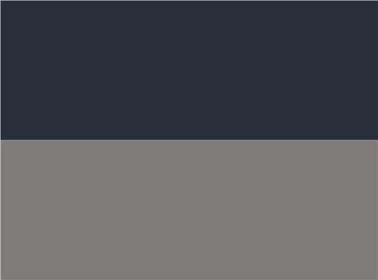 Swatch for Navy/ Silver