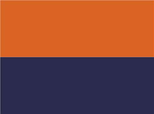 Swatch for Orange/ Navy