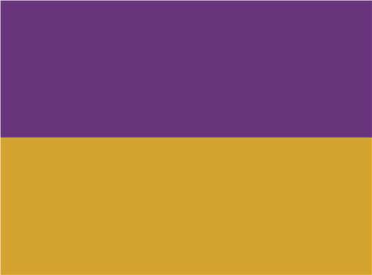 Swatch for Purple/ Gold