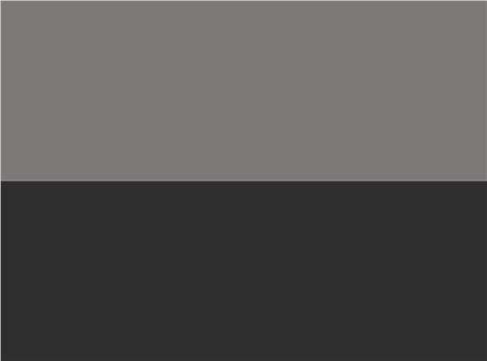 Swatch for Silver/ Black