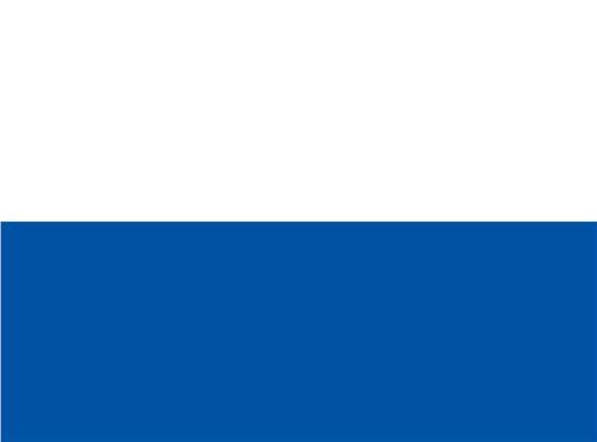 Swatch for White/ Royal
