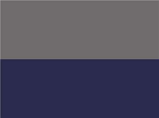 Swatch for Charcoal/ Navy