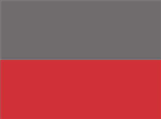 Swatch for Charcoal/ Red