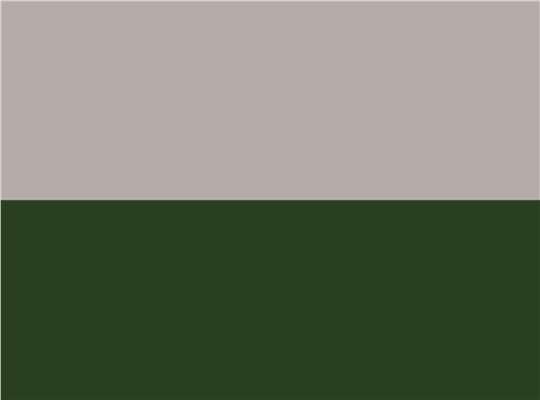 Swatch for Grey/ Forest