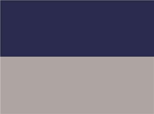 Swatch for Navy/ Grey