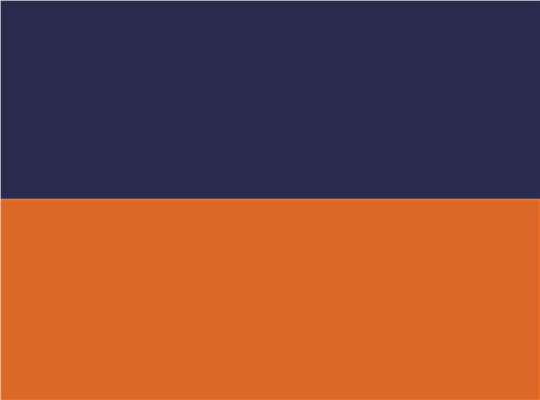 Swatch for Navy/ Orange