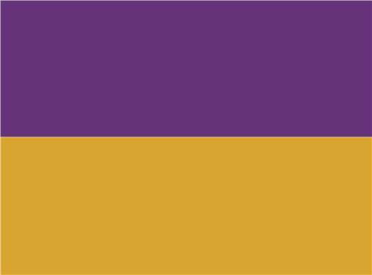 Swatch for Purple/ Gold