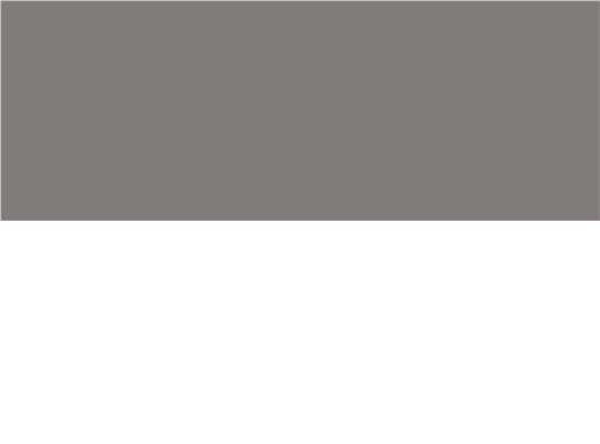 Swatch for Silver/ White