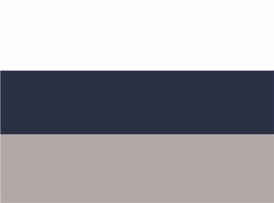 Swatch for White/ Navy/ Grey